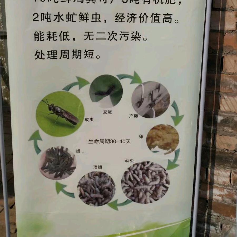 司姐创业