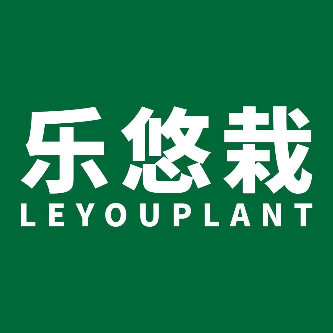 乐悠栽家庭花卉养护