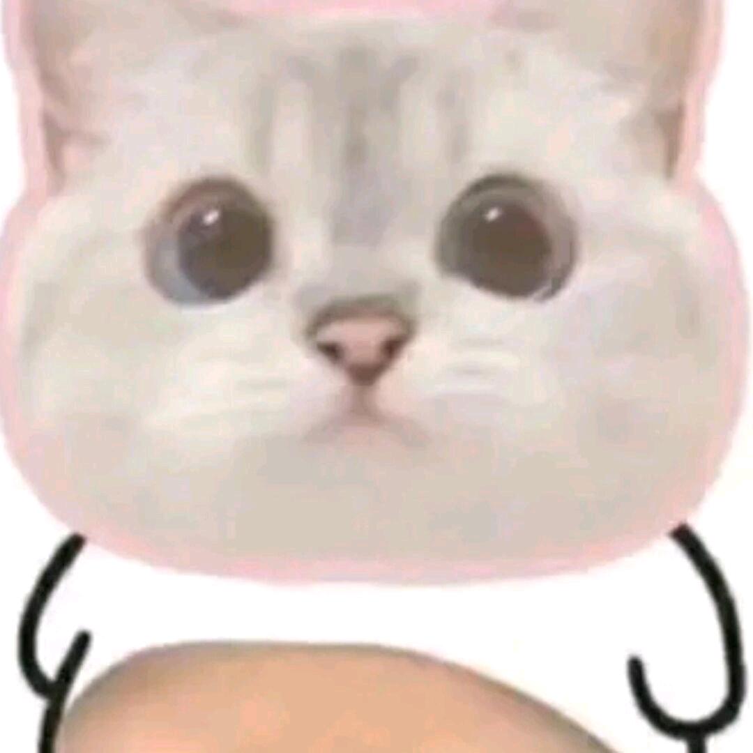 好好睡觉