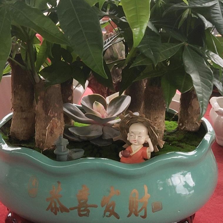 《安庄花卉》