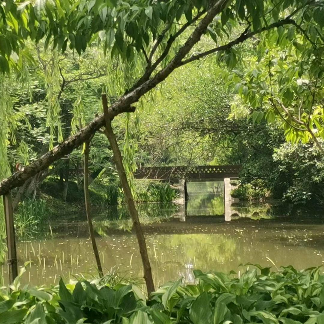 平凡的我