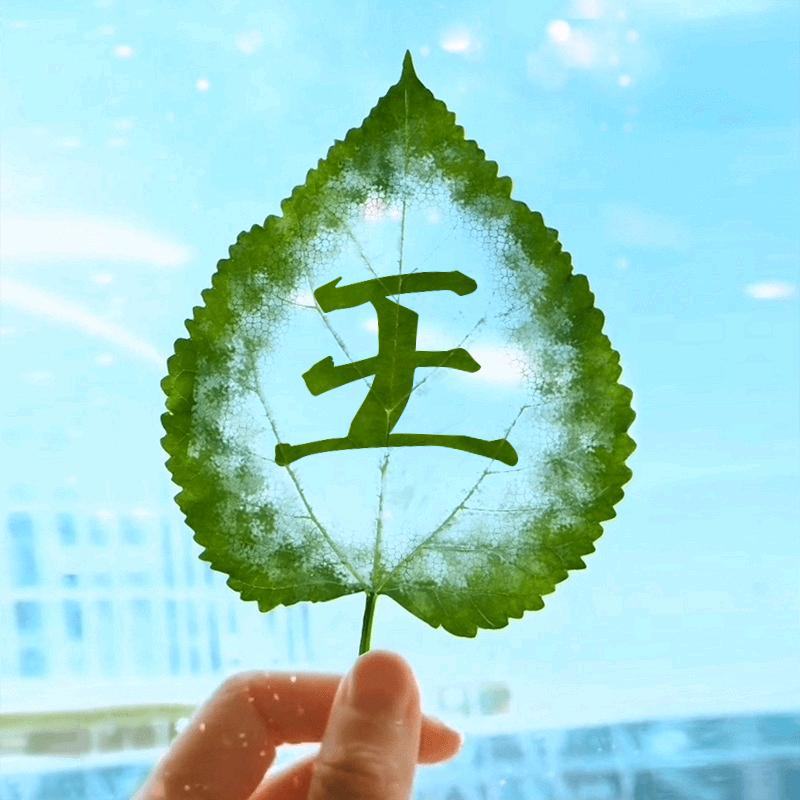 逸奶奶