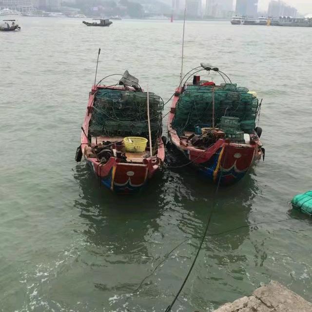 火星上我最酷（凡夫走卒）