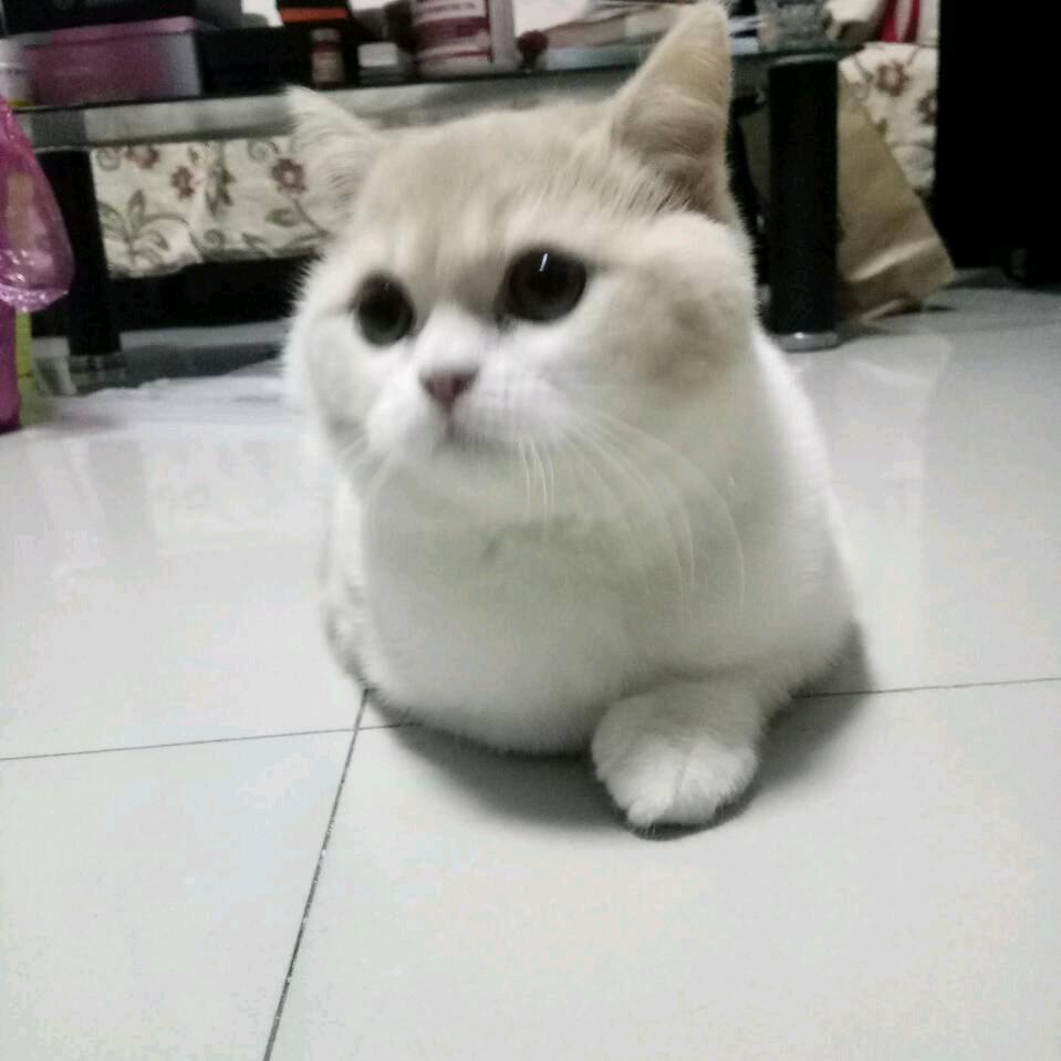 云淡风轻