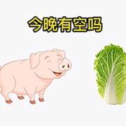 往事随风去