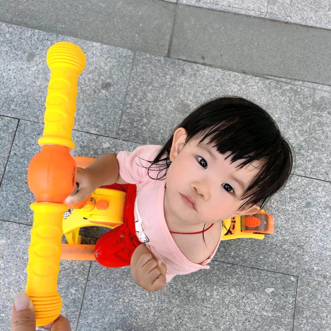 丨蔚高拳重丨