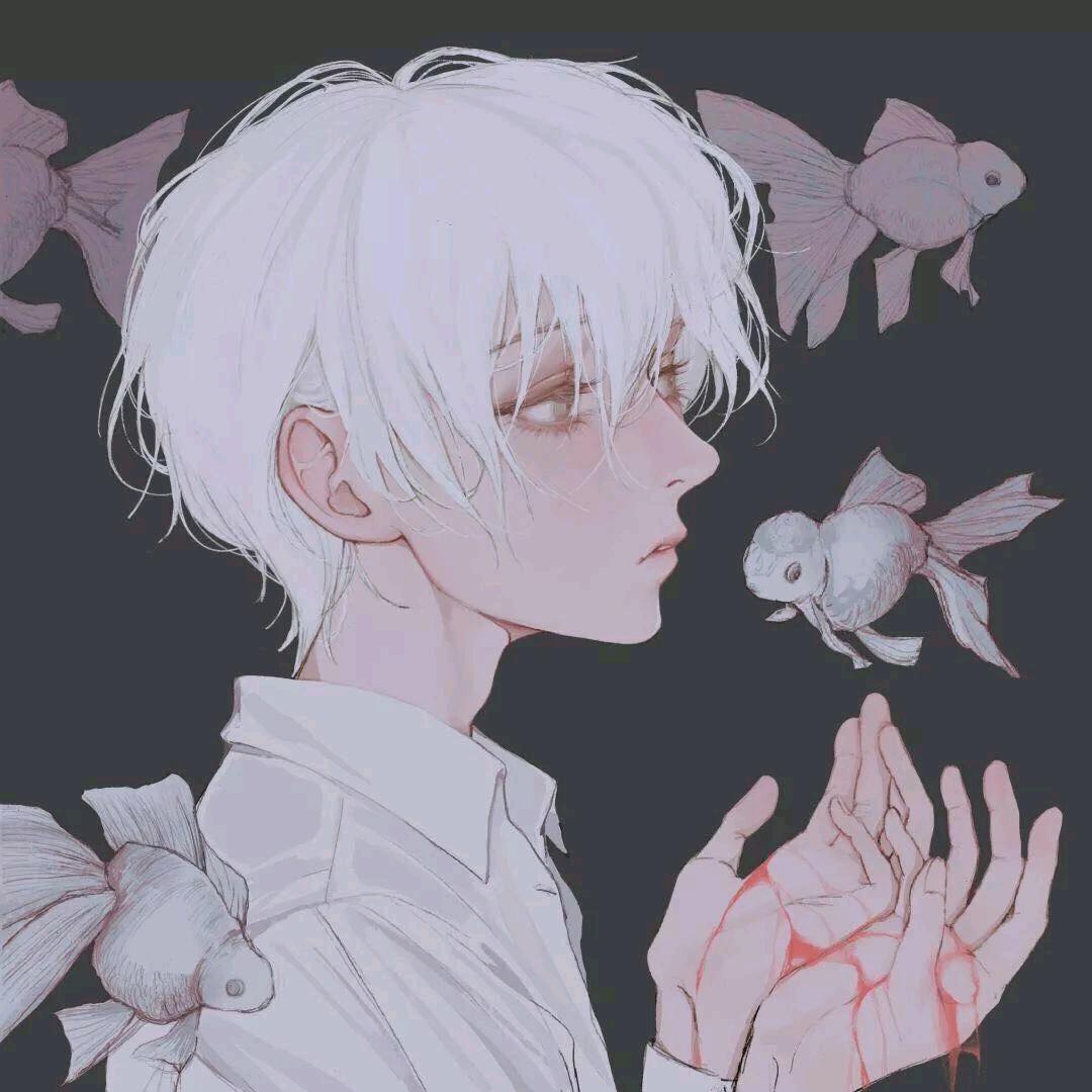 蛙趣