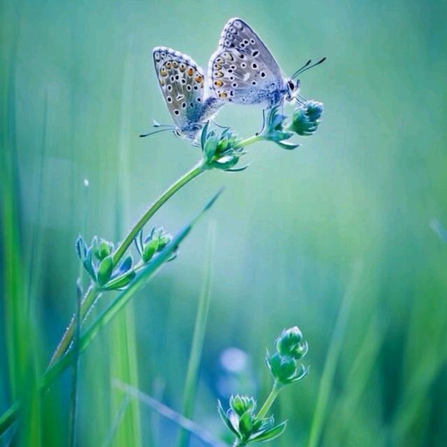 哈哈哈哈哈哈哈哈123456