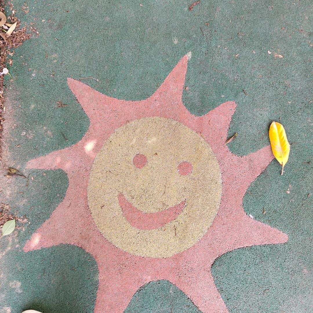 👒迷途散了雾🌹