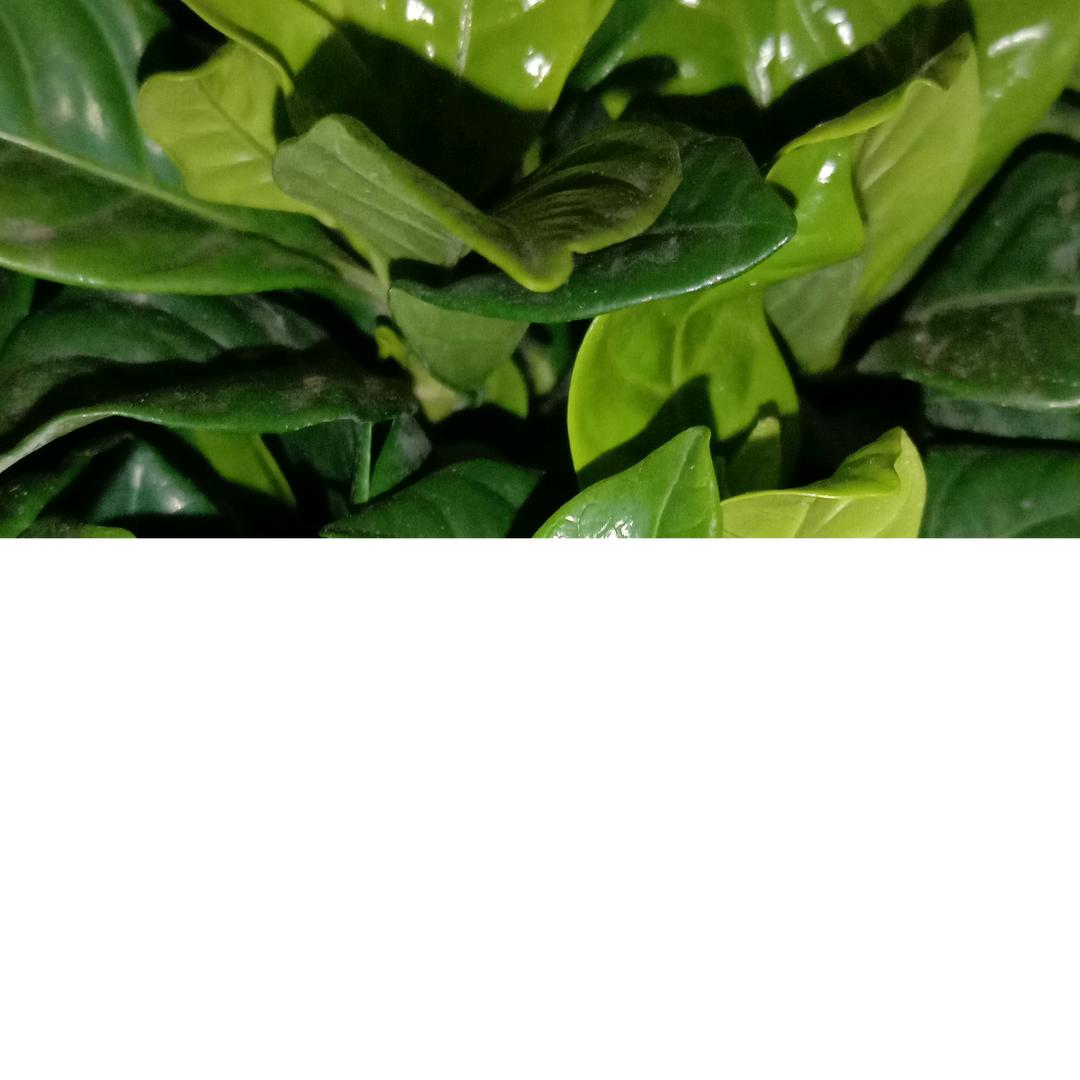 用户5026963030783