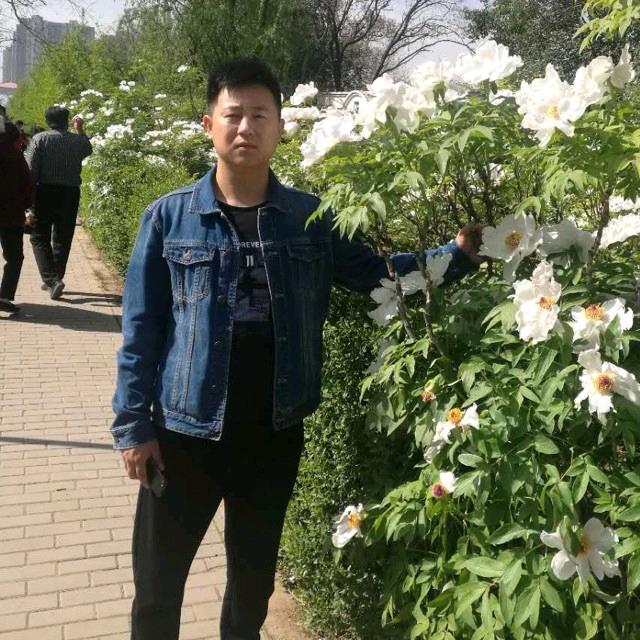 李林