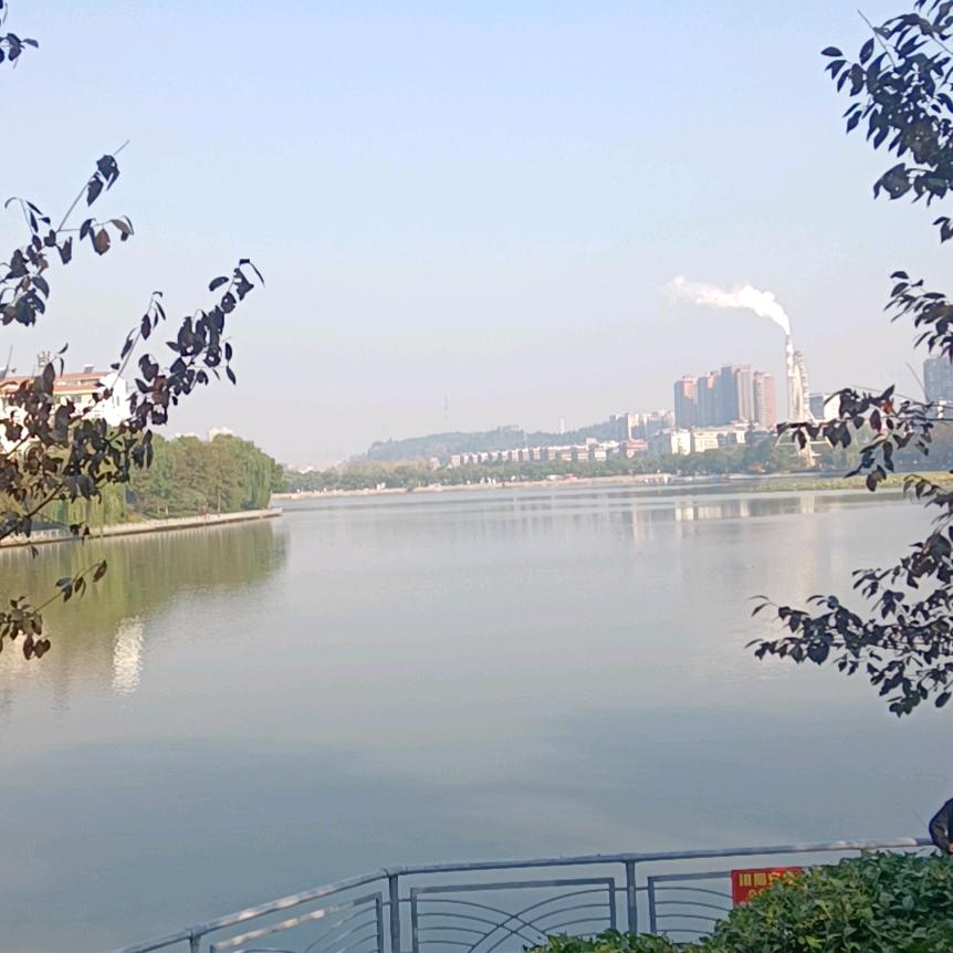 河狸
