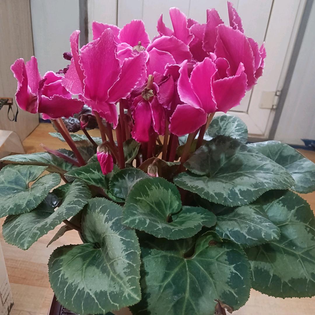 ❤💜💛💚💙