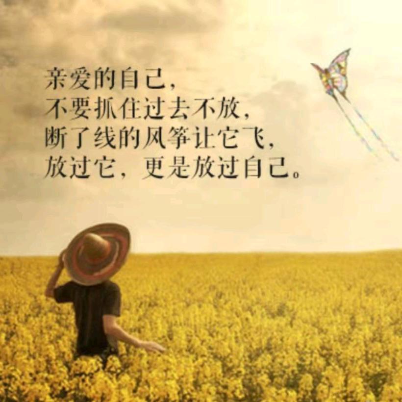 6个核桃