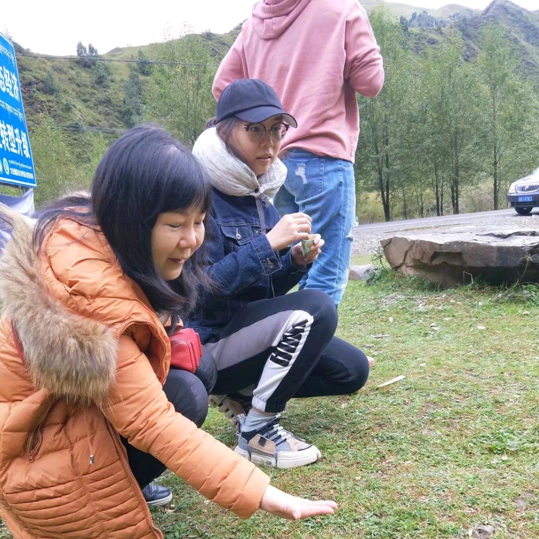 齐齐