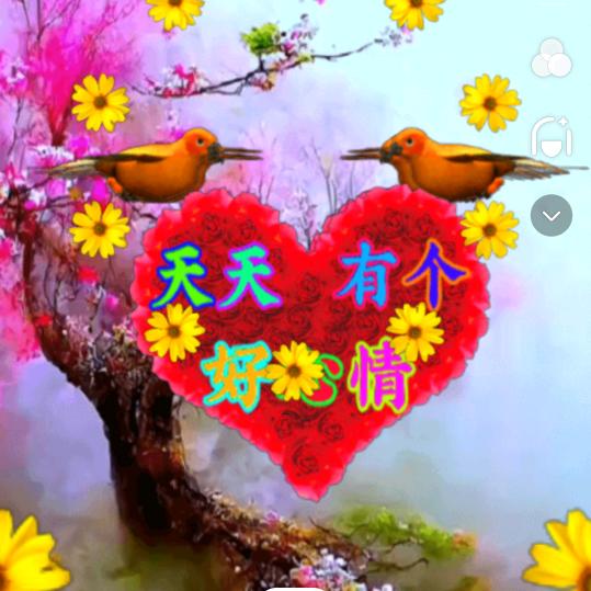 如-梦