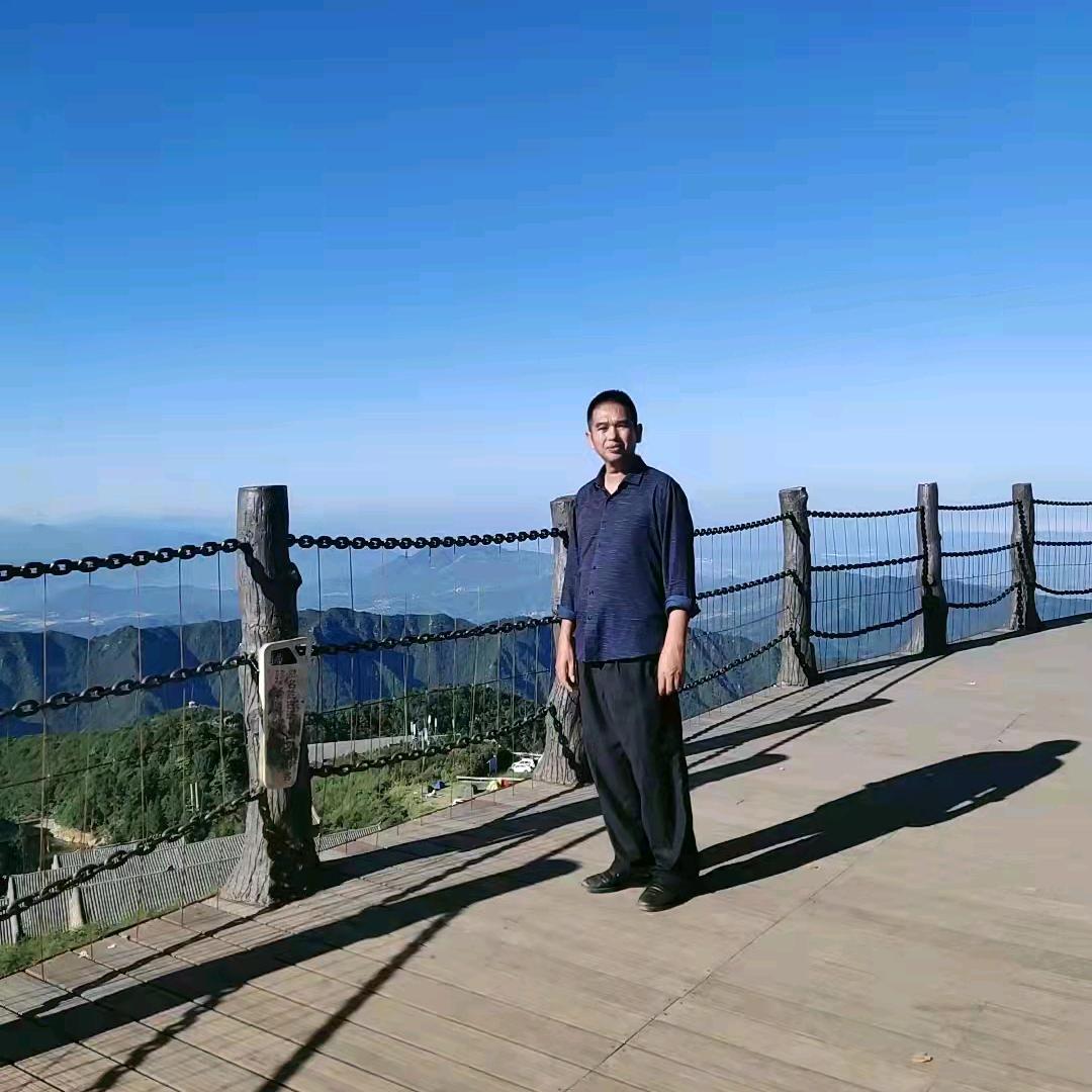丛林一叶