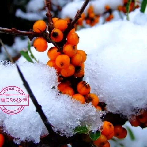 幻彩湖旗舰店