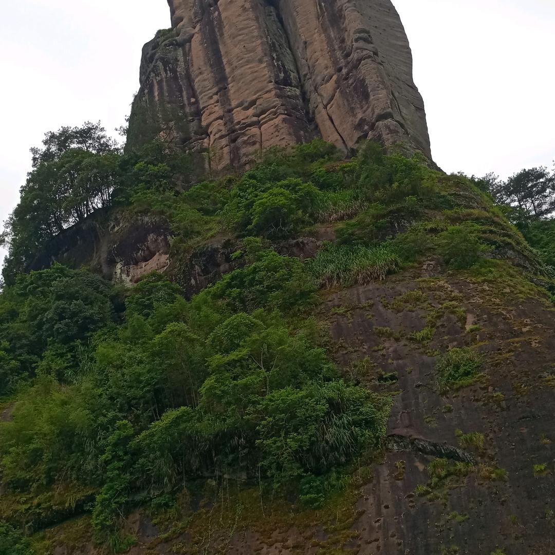好心情