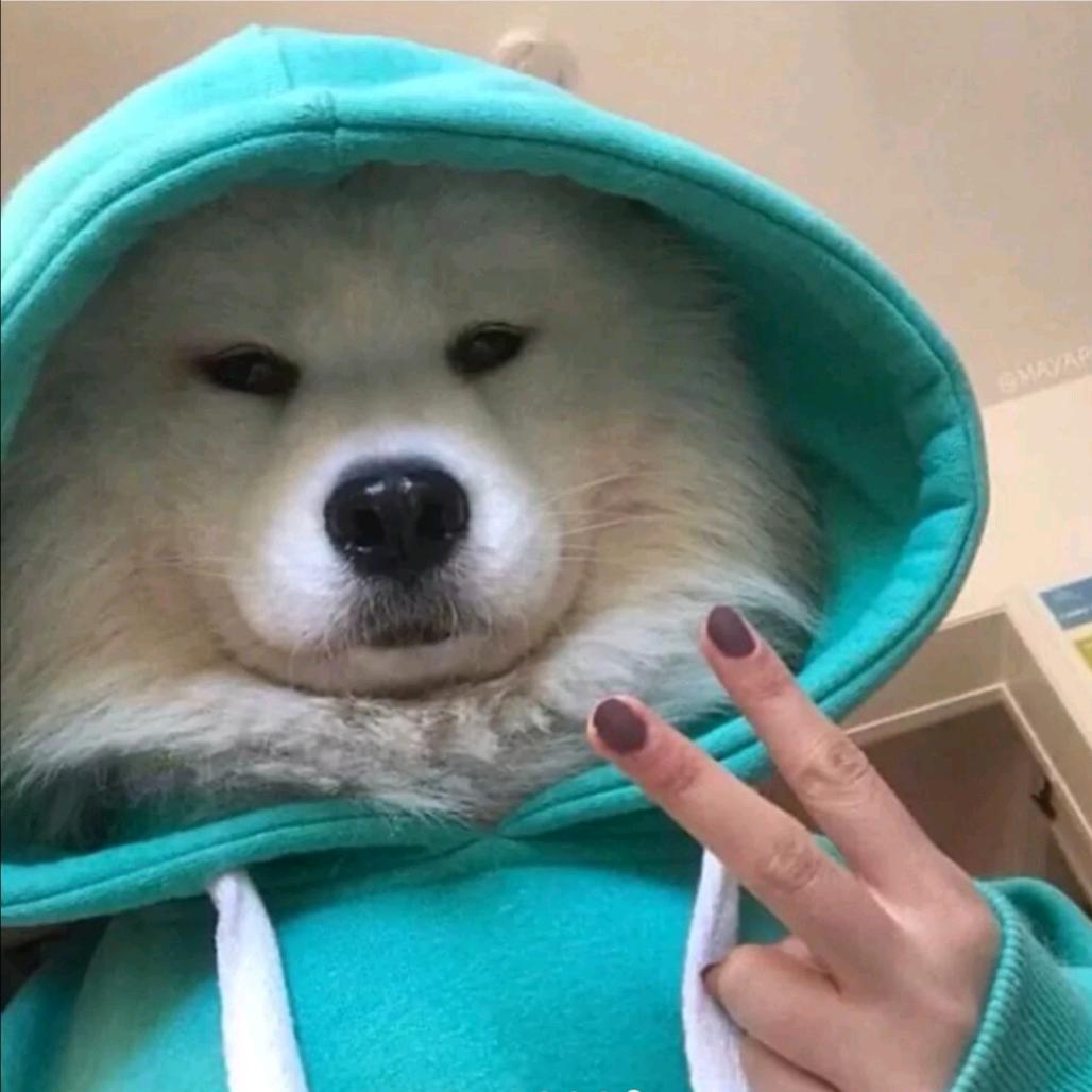 社恐一女的.