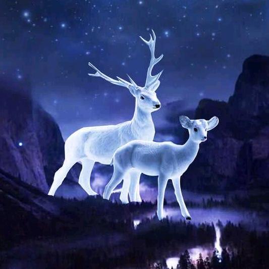 生如芥子、心藏须弥