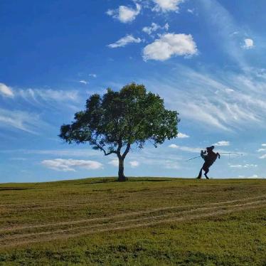 诗琴趁年华（私信报名）
