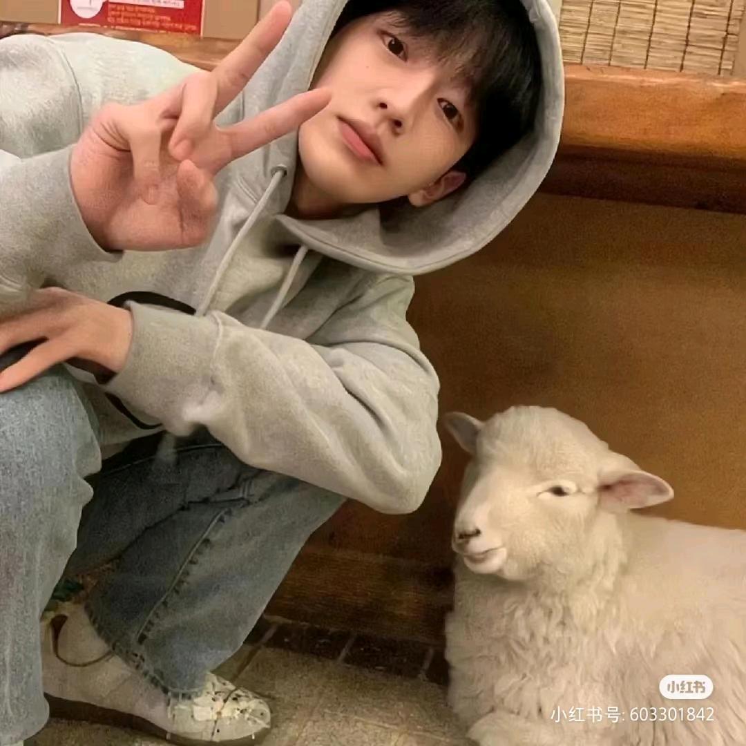 火火（三角洲行动）