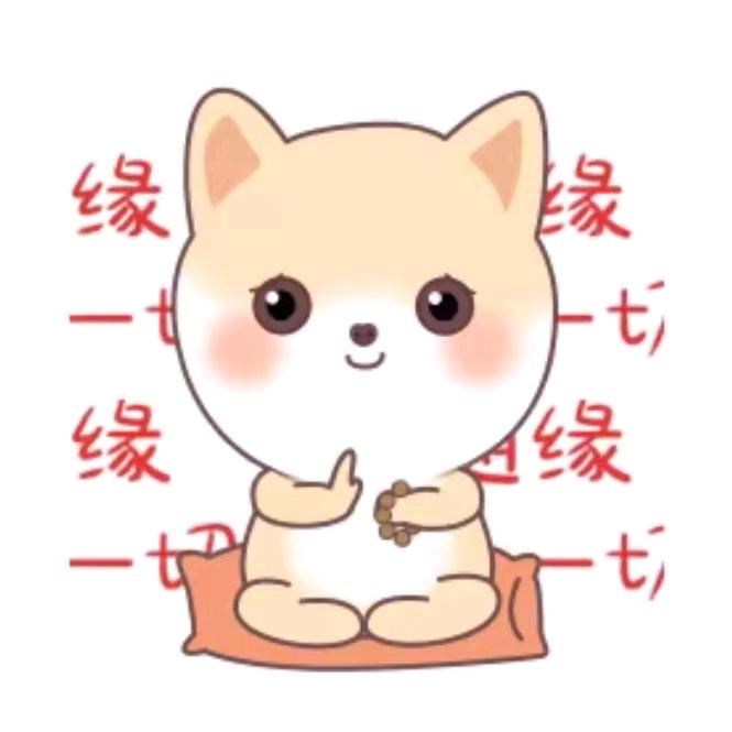 爱静静的小丸子
