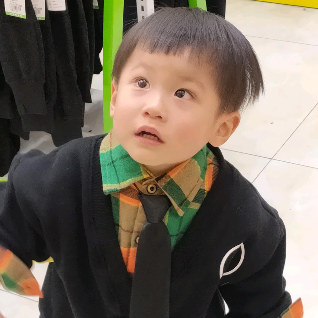 豪豪