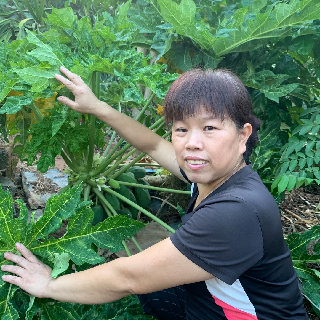 阿芬农人（阿妗）