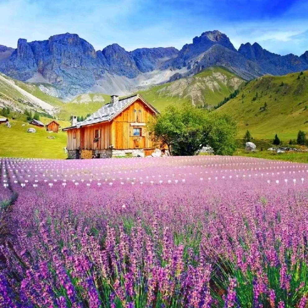 💓和你有缘💖