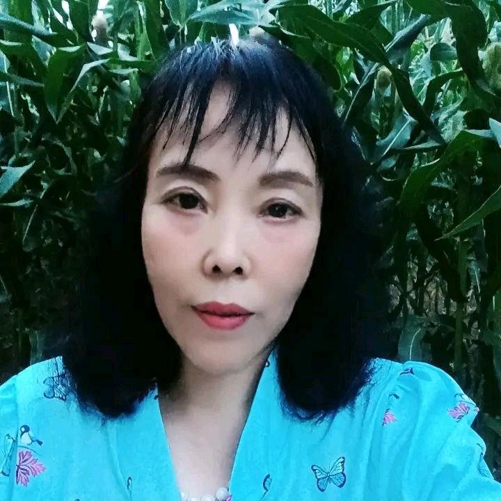 兰婷