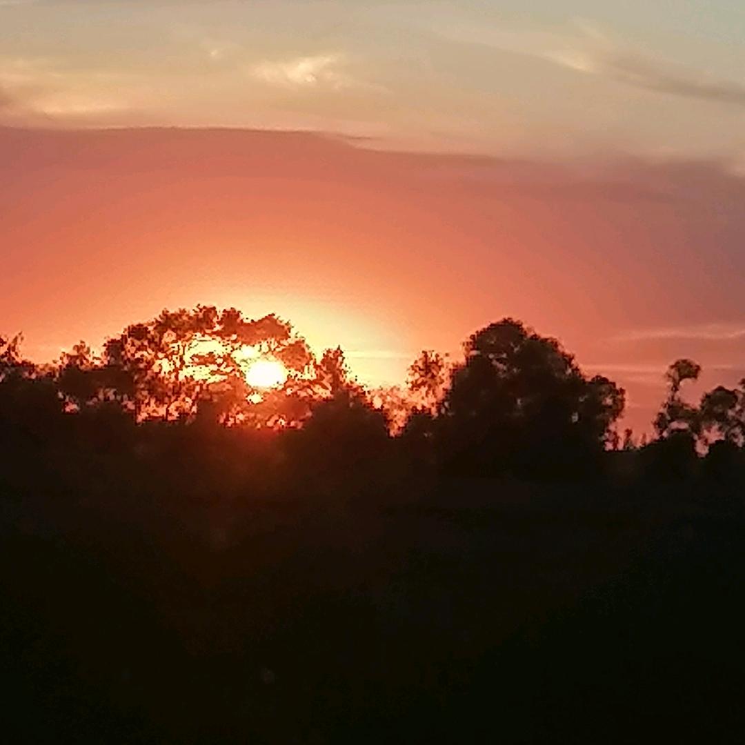 ￰￰ ￰￰ ￰ ￰￰￰ ￰￰ ￰￰￰ ￰