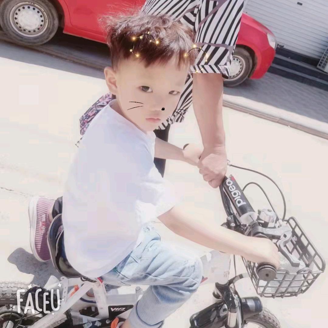 销售各种优质煤块