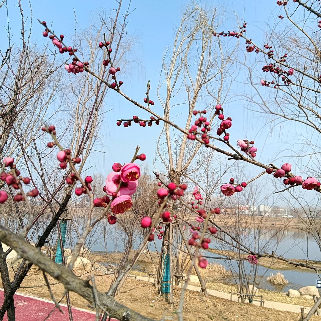 新滨〈謝绝私聊〉