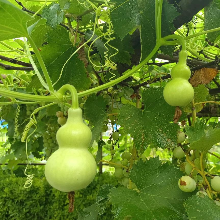 人间烟火