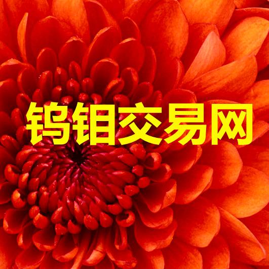 钨钼交易网