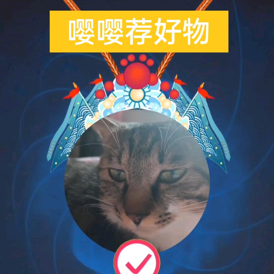 灵枢