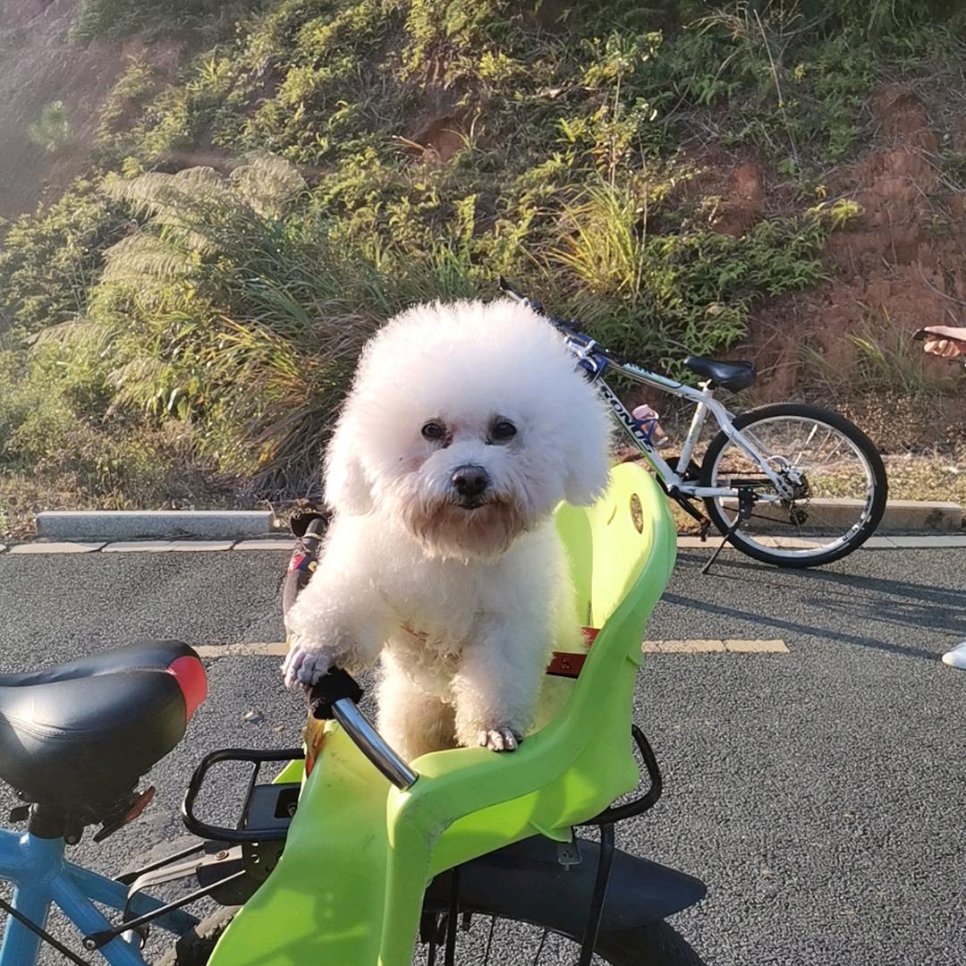 我想静静