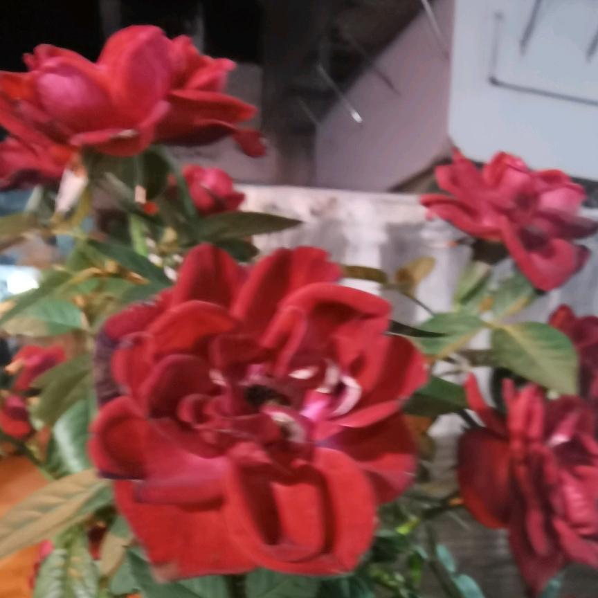 ღ᭄💞郭里曾有໑ຼ₀₂₃💕