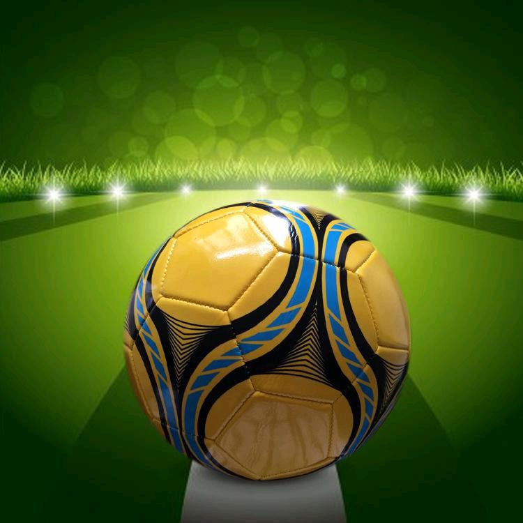 足球⚽️小将009