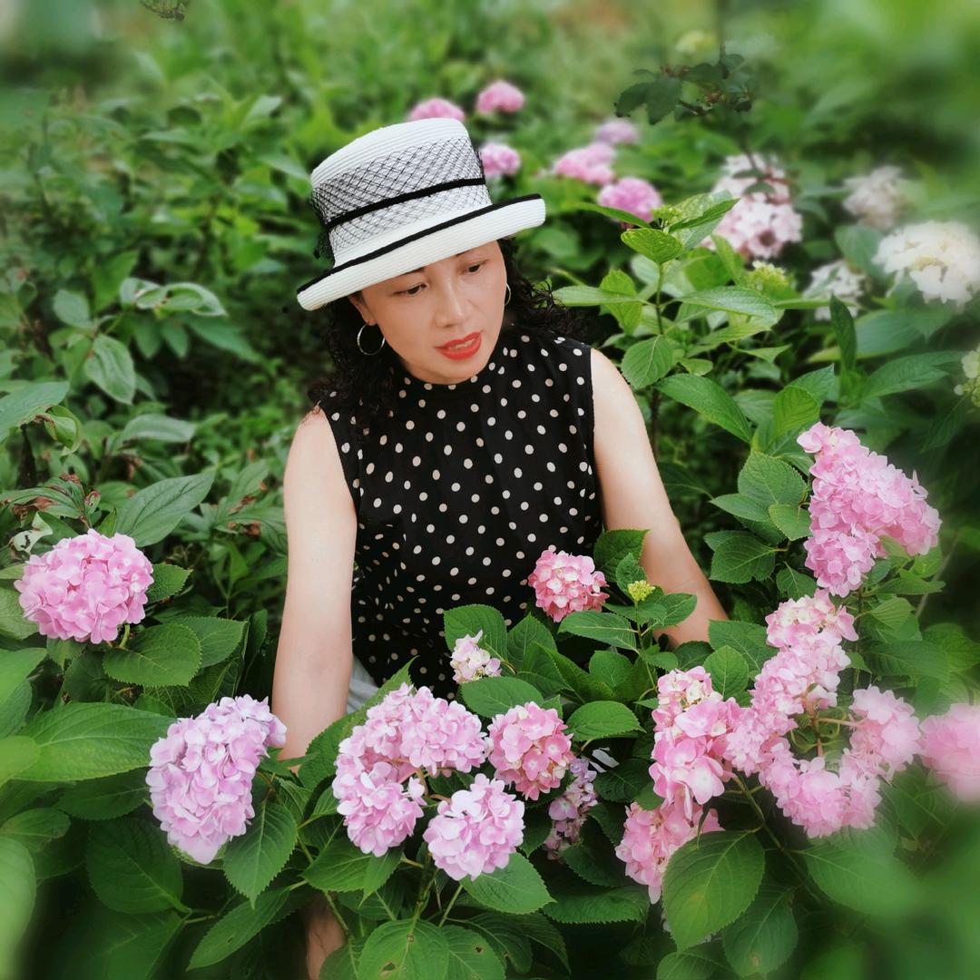 梅花姐姐