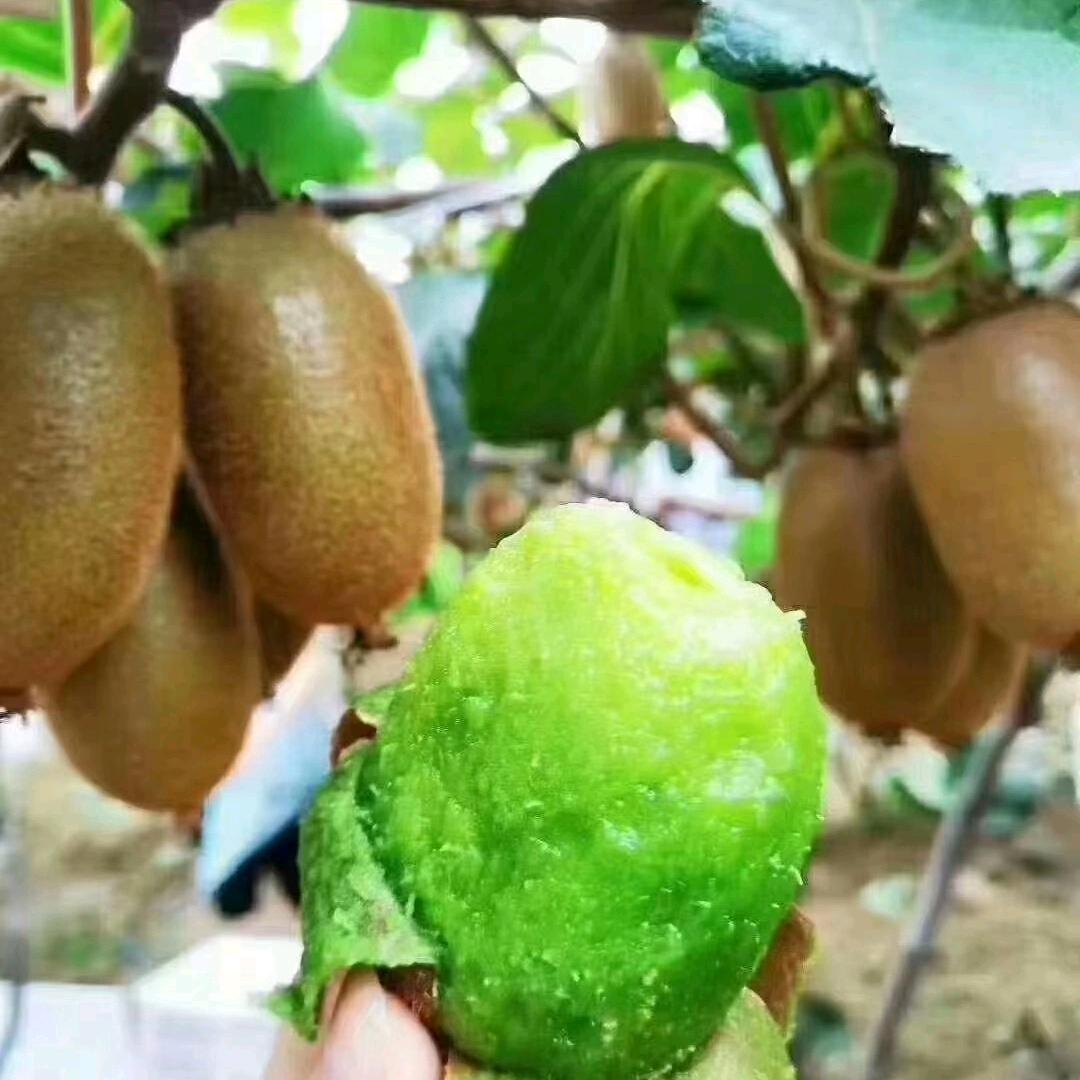 人生不迷茫，只在初识时⭐⭐⭐