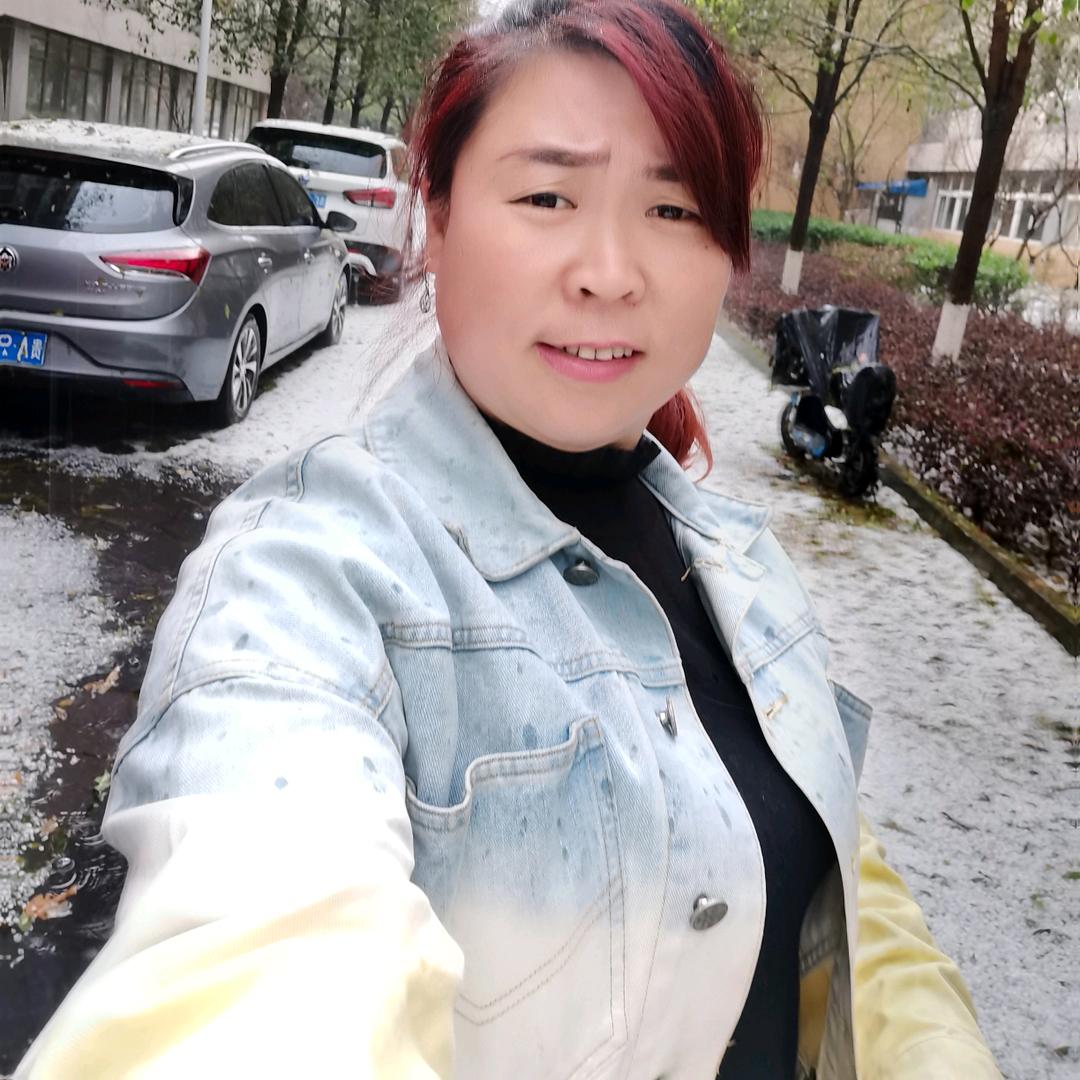 开心疯摆柳