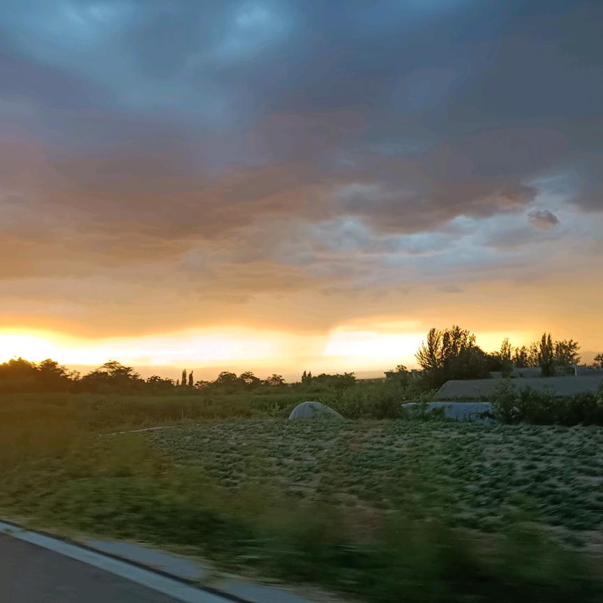 樱桃军家庭农场