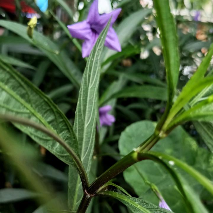 与菜做伴