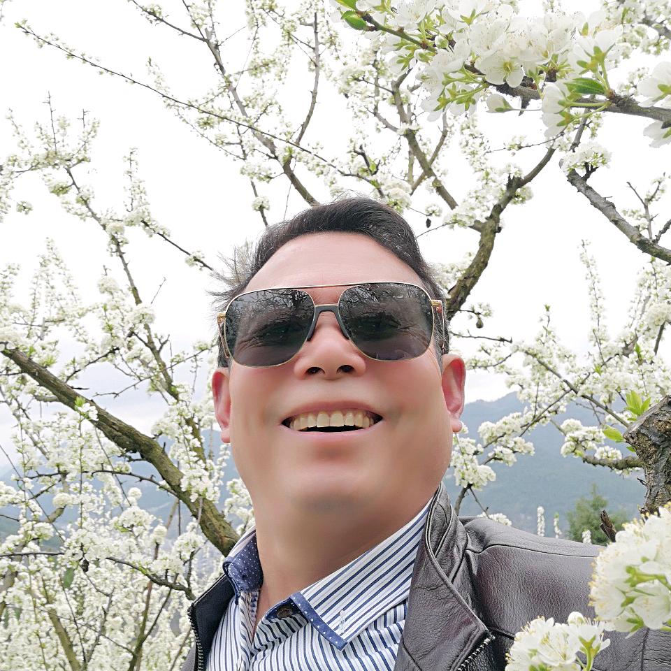 龙凤呈祥