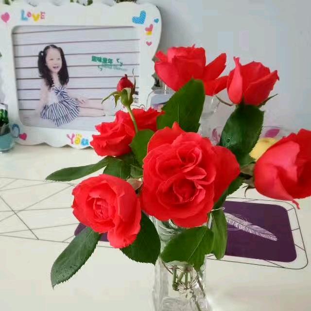 💞ঞᩚ᭄幸运相随🍀🍒若晴