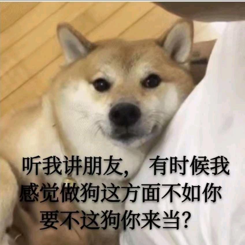 橙子头像