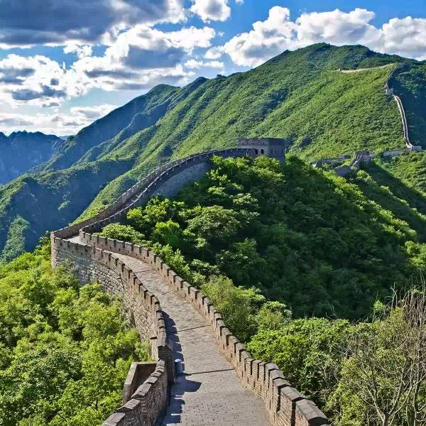 明天会更好(*^ω^*)